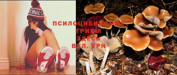 трава Абинск