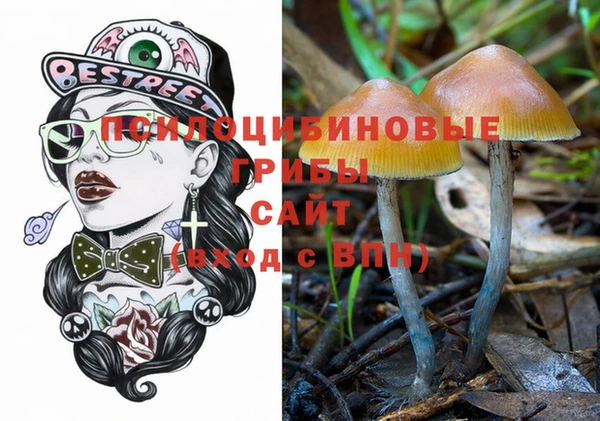 хмурый Алексеевка
