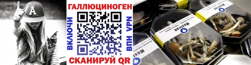 купить наркотики сайты mega tor Псилоцибиновые грибы MAGIC MUSHROOMS Раменское